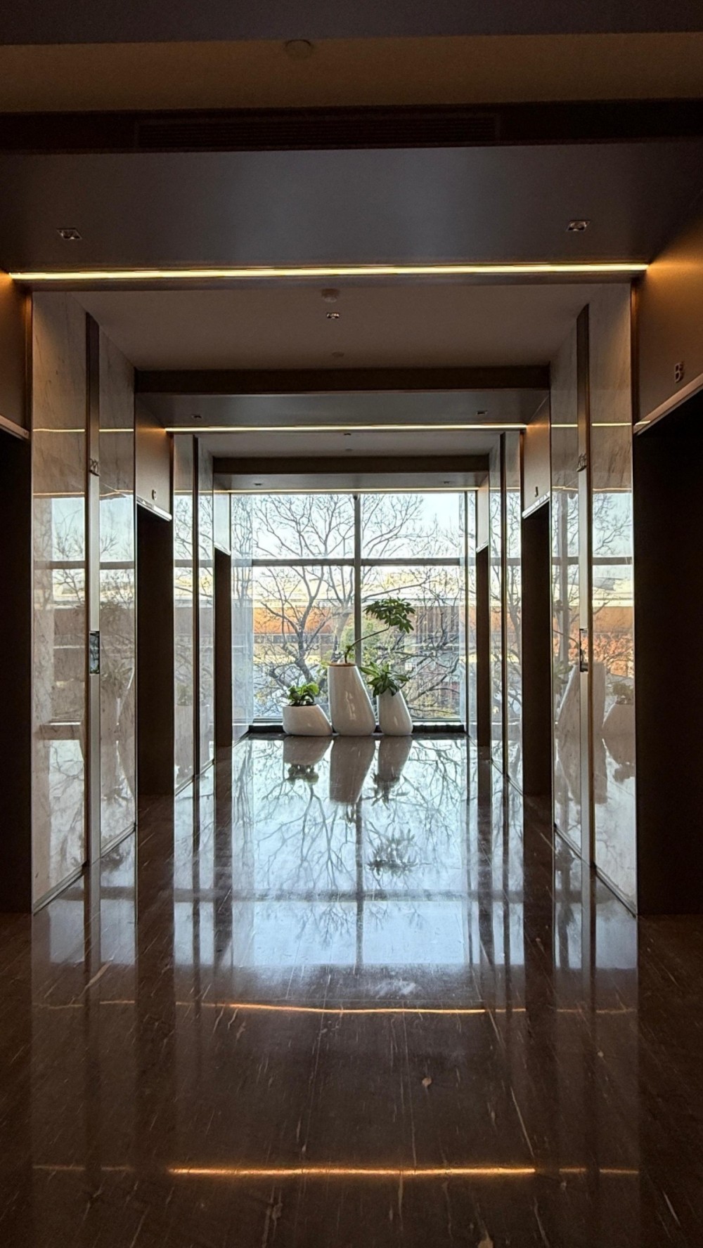 Modern lift entrance with glass doors